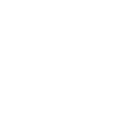 White LinkedIn icon
